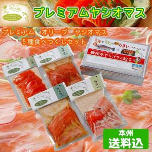 プレミアム オリーブ ヤシオマス 味噌・粕・西京漬・冷燻・餃子 5種 食べつくしセット FN06B｜fkd-netplaza