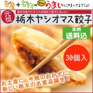 荒川養殖 元祖栃木 ヤシオマス餃子 15個入×2箱 30個入 栃木県産品 FN09Y｜fkd-netplaza