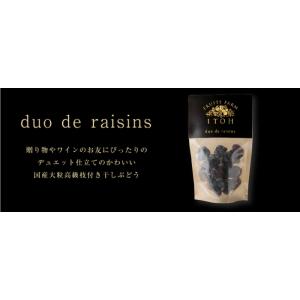 フルーツのいとう園 duo de raisin...の詳細画像3