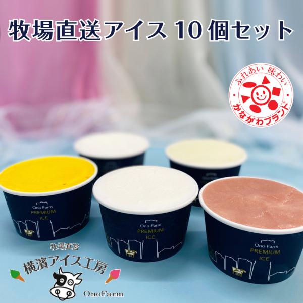 横濱アイス工房 牧場直送アイス10個セット かながわブランド