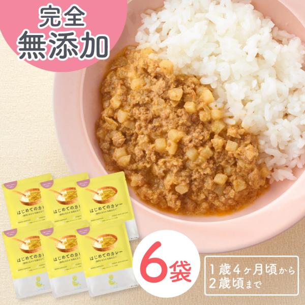 Smile&amp; はじめてのカレー （豚肉と白ネギ 和風仕立て） １歳4ヶ月頃から２歳頃まで 6袋 so...