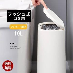 ゴミ箱 密閉 生ゴミ 臭わない シールズ10 密封ダストボックス 10L プラスチック スリム シンプル フタ付き おむつペール ワンタッチ