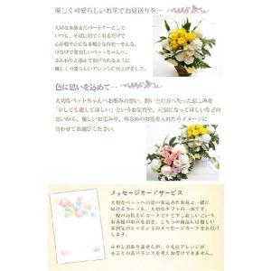 ペットのお供え あじさいお供えアレンジ 「花香...の詳細画像3