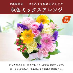 秋限定アレンジ 初秋に贈る 秋色ミックスアレン...の詳細画像1