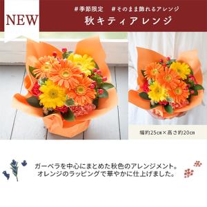 秋限定アレンジ 秋キティアレンジ 花 ギフト ...の詳細画像2