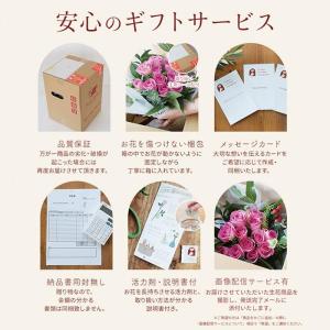秋限定アレンジ 秋キティアレンジ 花 ギフト ...の詳細画像5