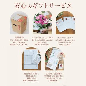 花 フラワーアレンジ 誕生日 ギフト 「朝桜ア...の詳細画像4