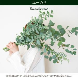 【クール便】選べる季節の枝物 フローラルグリー...の詳細画像1