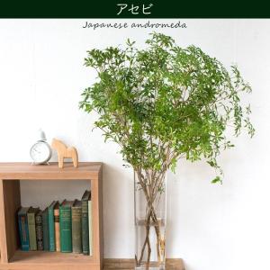【クール便】選べる季節の枝物 フローラルグリー...の詳細画像5