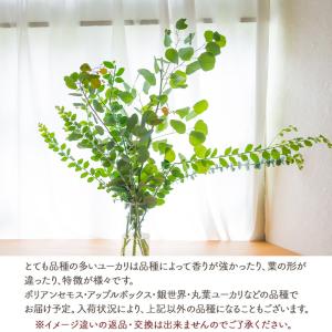 【クール便】選べる季節の枝物 フローラルグリー...の詳細画像2