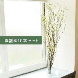 【クール便】選べる季節の枝物 フローラルグリー...の詳細画像3