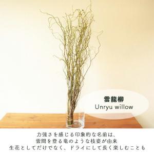 【クール便】選べる季節の枝物 フローラルグリー...の詳細画像4