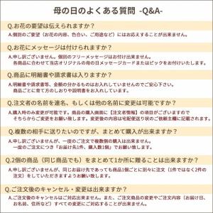 遅れてごめんね 母の日 ギフト 花 2026 カーネーション プレゼント 選べる花鉢 カーネーション マーガレット ケイトウ 鉢植え 5号鉢 生花 FKHH