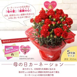 母の日 プレゼント 花とスイーツ ギフト 花 ...の詳細画像4