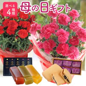 遅れてごめんね 母の日 ギフト 花 2026 スイーツ お菓子 花とスイーツ プレゼント 選べる カーネーション と 千疋屋スイーツ 羊羹 銀座千疋屋 FKHH