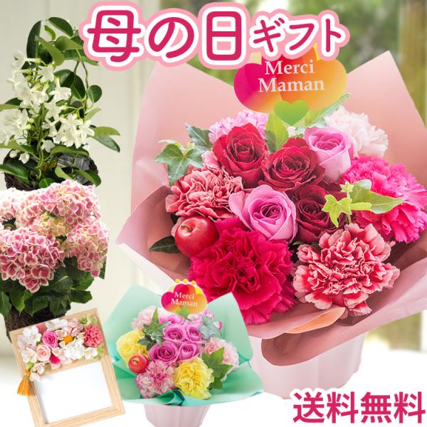 母の日 ギフト 花 2026 バラ 選べる花ギフト6種 アレンジメント バラ あじさい フォトフレー...