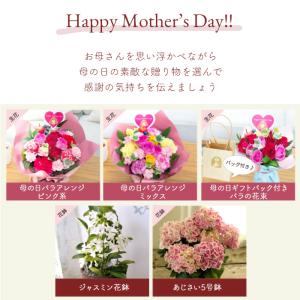 母の日 プレゼント 選べる花ギフト 5種 生花...の詳細画像2