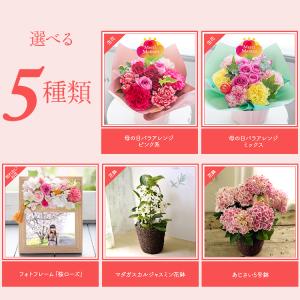 早割 母の日 プレゼント 花 ギフト 2026...の詳細画像2