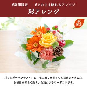 秋限定アレンジ 初秋に贈る 彩アレンジ 即日発...の詳細画像1
