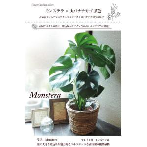 観葉植物 モンステラ 丸バナナカゴ 茶色 鉢カ...の詳細画像1