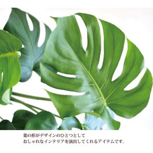 観葉植物 モンステラ 丸バナナカゴ 茶色 鉢カ...の詳細画像2