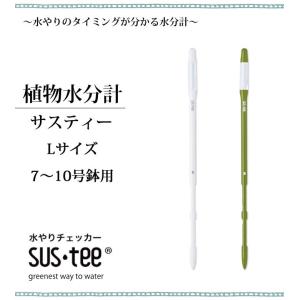 観葉植物 パキラ ねじり仕立て7号 おまかせカ...の詳細画像4