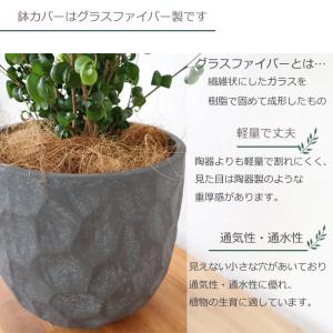 ベンジャミン バロック ジオメトリーラウンドブ...の詳細画像4