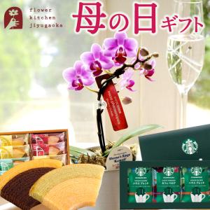 遅れてごめんねセール 母の日 プレゼント 花 マイクロ胡蝶蘭と 千疋屋フルーツクーヘン 花とスイーツ 胡蝶蘭 椎名洋ラン園 お菓子 銀座千疋屋 2025 FKHH