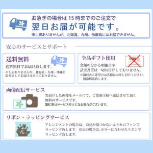 ムーンダストを使ったお供えアレンジメントLサイ...の詳細画像4