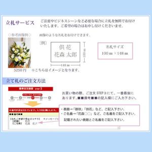ムーンダストを使ったお供えアレンジメントLサイ...の詳細画像5