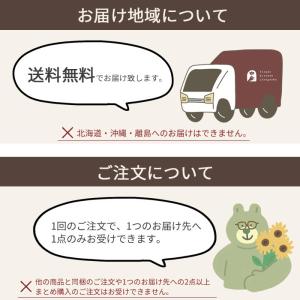 遅れてごめんね 父の日 ギフト プレゼント 2...の詳細画像5