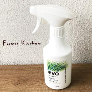 evo- 観葉植物とエアプランツが元気に育つ水 300ml　観葉植物とセット購入で送料無料 FKTS