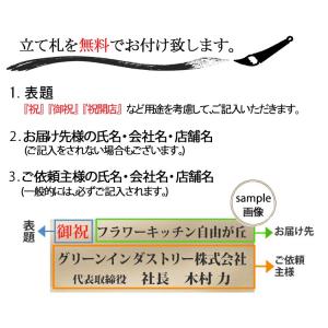 御祝スタンド花 当日配達 指定日配達 イーフロ...の詳細画像3