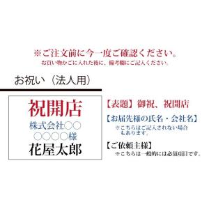 ユッカ 青年の樹 観葉植物 ユッカ の鉢植えM...の詳細画像5