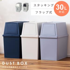 東谷 ゴミ箱 ごみ箱 おしゃれ ワイド 分別 キッチン フタ付き 屋外 30