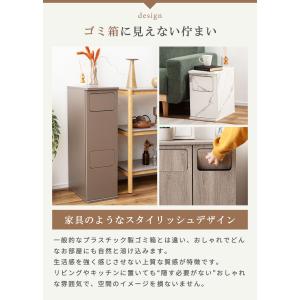 ゴミ箱 2段 20L ダストボックス スリム ...の詳細画像4