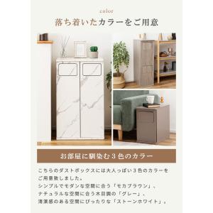 ゴミ箱 2段 20L ダストボックス スリム ...の詳細画像5