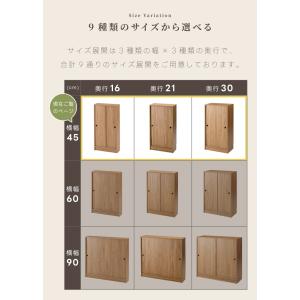 カウンター下収納 可動棚 幅45cm 奥行選べ...の詳細画像4