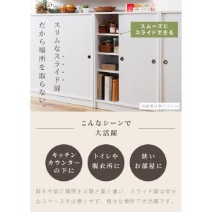 カウンター下収納 可動棚 幅45cm 奥行選べ...の詳細画像5