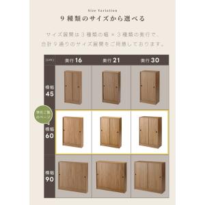カウンター下収納 可動棚 幅60cm 奥行選べ...の詳細画像4