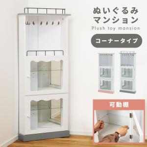 コレクションケ－ス　飾り棚 コレクションケース 62.9×47.9cm 壁掛け カバー扉 アクセサリー 収納
