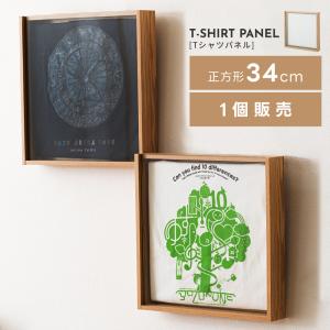 レコード フレーム レコードフレーム 36x36cm レコード盤 ディスプレイ