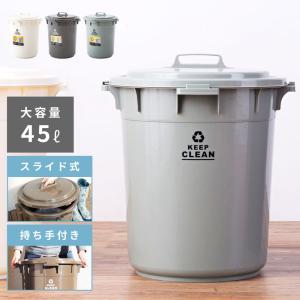 ゴミ箱 45リットル おしゃれ 幅42.5cm 蓋付き 密閉 生ゴミ 分別 屋外 キッチン 臭わない おむつ用 バケツタイプ ベランダ 保育園 ダストボックス 持ち手付き