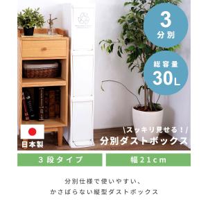 ゴミ箱 おしゃれ 3段 分別 フタ付き ダスト...の詳細画像1