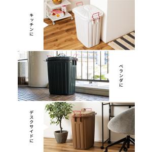 ゴミ箱 60L おしゃれ 屋外 取っ手付き 日...の詳細画像2