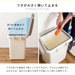 ゴミ箱 45L おしゃれ 分別 キッチン用ゴミ...の詳細画像4