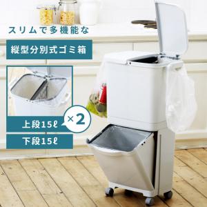 東谷 ゴミ箱 45リットル 45L おしゃれ スリム キャスター スリム