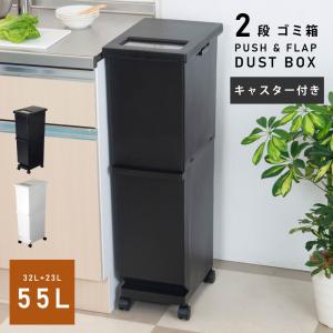 スチール製ダストボックス 分別ゴミ箱 9リットル 2分別 幅20cm ペール