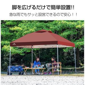 タープ タープテント 3m 3m サイドシート...の詳細画像2