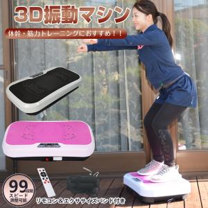 振動 マシン フィットネス バイブレーション バランス